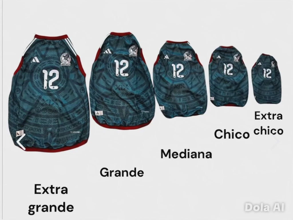 JERSEY MEXICO PARA PERRITOS