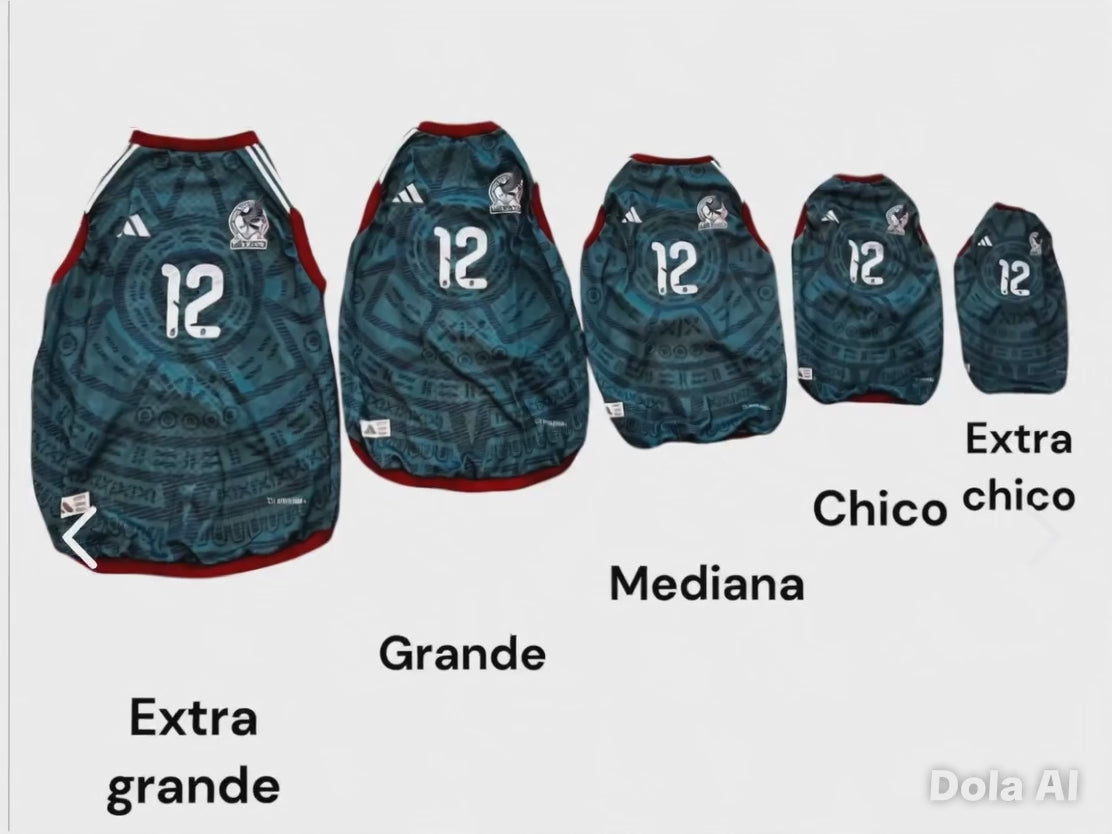 JERSEY MEXICO PARA PERRITOS